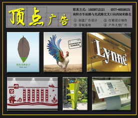 南陽廣告設計服務解析 頂點創(chuàng)意廣告的專業(yè)之路