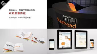 廣告策劃與設計 創(chuàng)意與策略的完美融合